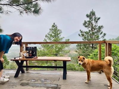 Ảnh đánh giá Viva S002 - View rừng thông + Sân Pickleball 12