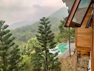 Ảnh đánh giá Viva S002 - View rừng thông + Sân Pickleball 9