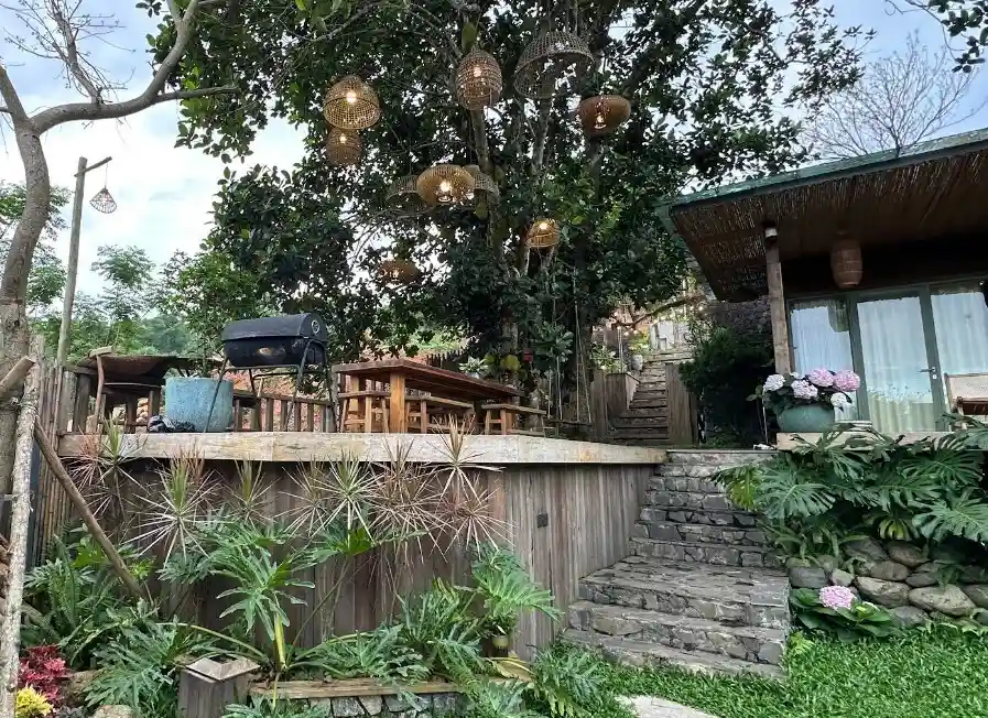 Ảnh đánh giá Viva B24 1