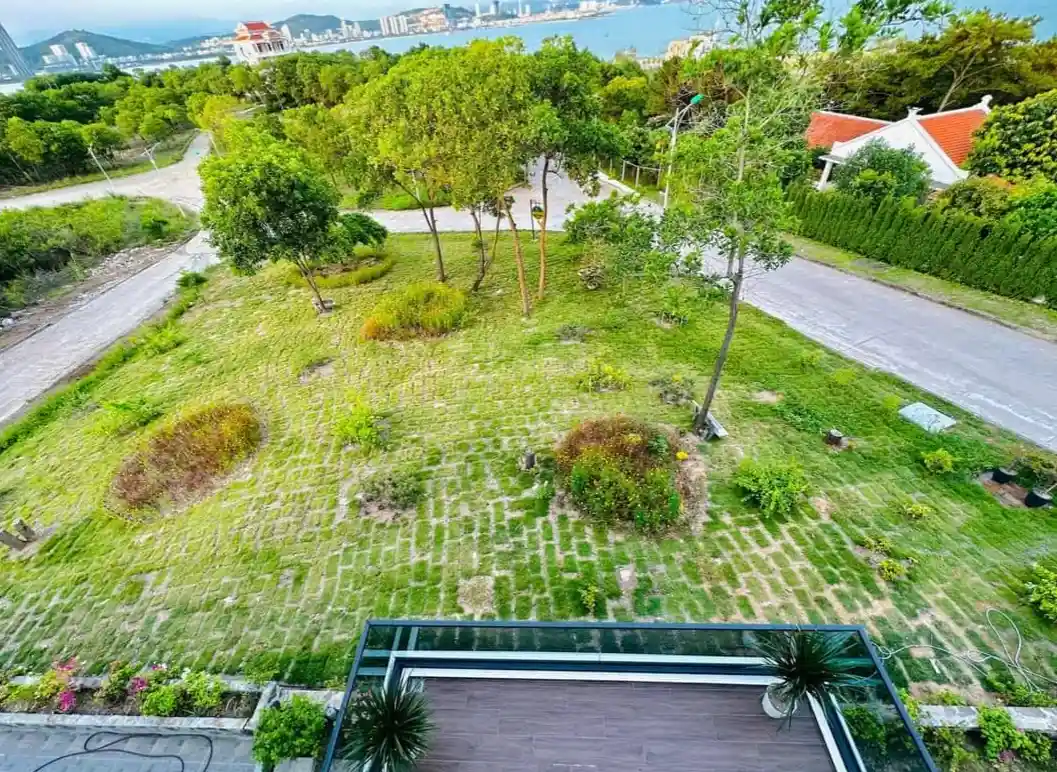 Ảnh đánh giá Viva Q38 2