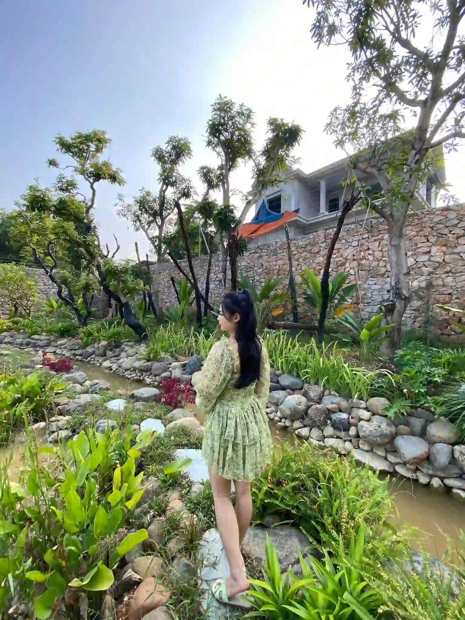 Ảnh đánh giá Viva HB10 3