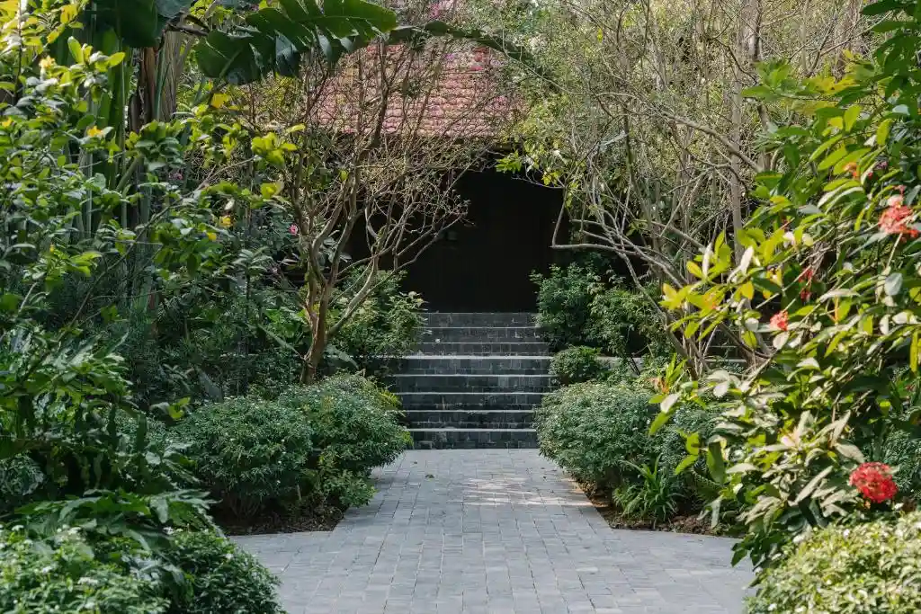 Ảnh Viva Homestay N11