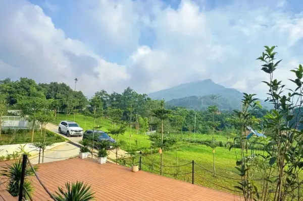 Ảnh TV-BVMT - 10