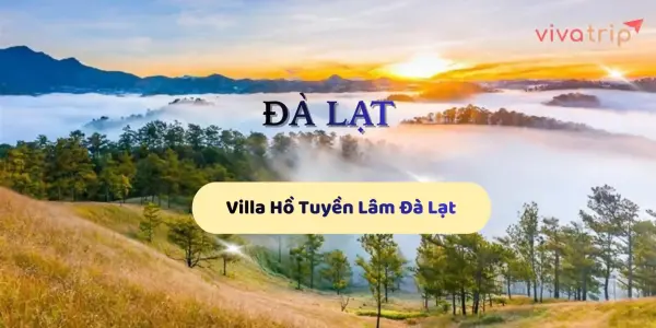 Villa hồ Tuyền Lâm Đà Lạt: 5 tiêu chí chọn đúng kỳ vọng nghỉ dưỡng, tránh ẩm lạnh