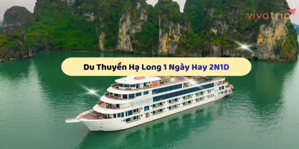 So sánh tour du lịch Du thuyền Hạ Long 1 ngày với 2 ngày 1 đêm