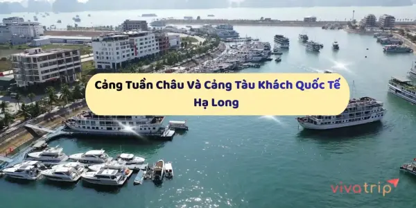 Cảng Tuần Châu vs Cảng QT Hạ Long: chọn đúng điểm đón du thuyền