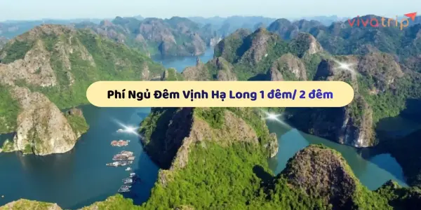 Cập nhật chi phí ngủ đêm Vịnh Hạ Long 1 đêm và 2 đêm: thông tin, bảo giá mới nhất