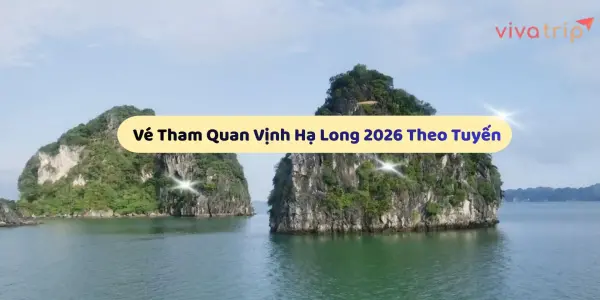 Vé tham quan Vịnh Hạ Long: bảng theo tuyến và cách chọn tuyến đúng lịch trình du thuyền Hạ Long