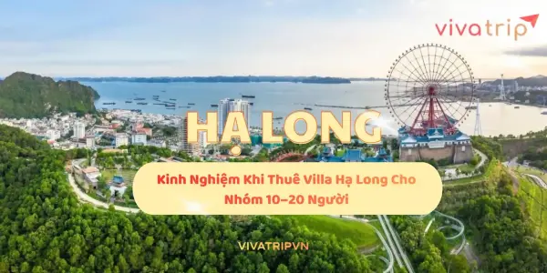 Kinh nghiệm khi thuê Villa Hạ Long cho nhóm 10–20 người: tiêu chí chọn căn, cách chia phòng và quy tắc sinh hoạt chung
