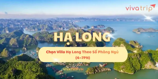Chọn villa Hạ Long theo số phòng ngủ (4–7PN): cách tính sức chứa, chia phòng và tối ưu chi phí