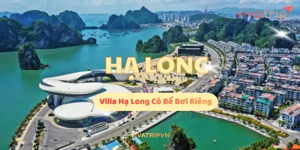Villa Hạ Long có bể bơi riêng: tiêu chí an toàn, vệ sinh và mẹo chọn căn phù hợp nhóm