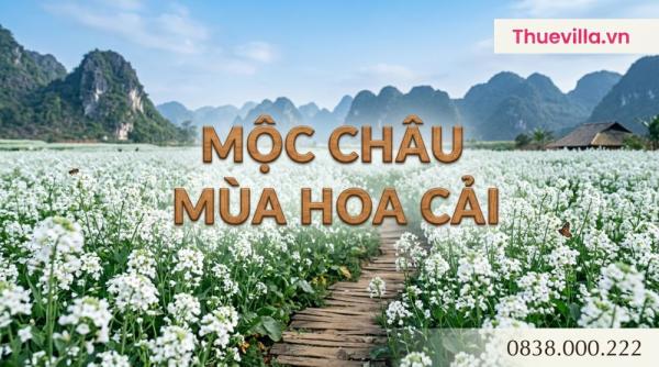 Mộc Châu Mùa Hoa Cải: 5 Villa View Đẹp Nhất — Đặt Sớm Kẻo Hết
