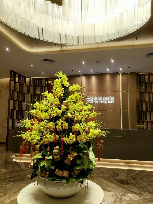 Ảnh A La Carte Ha Long - 12