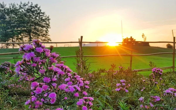 Ảnh An Lạc Resort - 9