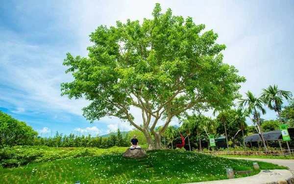 Ảnh An Lạc Resort - 16