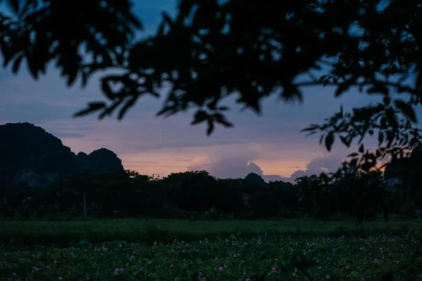 Ảnh chi tiết phòng aravinda-resort-ninh-binh-biet-thu-suite-aravinda-vivatrip-05.webp