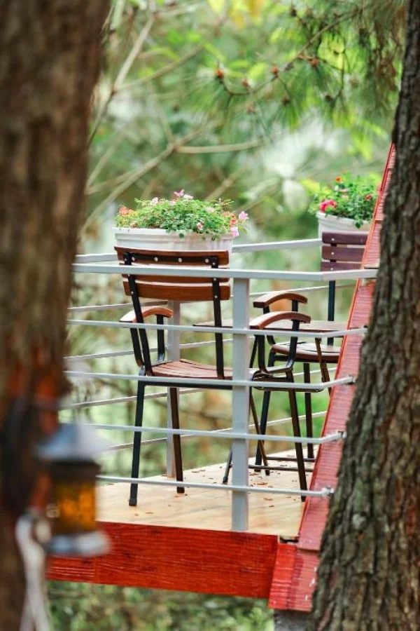 Ảnh Cat Ba Eco Lodge Resort - 16