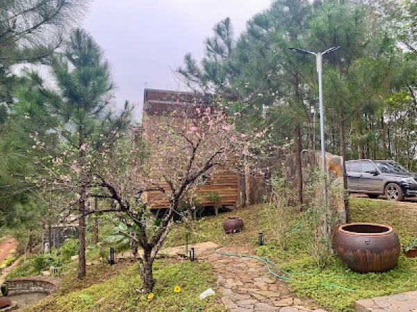 Ảnh Viva S002 - View rừng thông + Sân Pickleball - 30