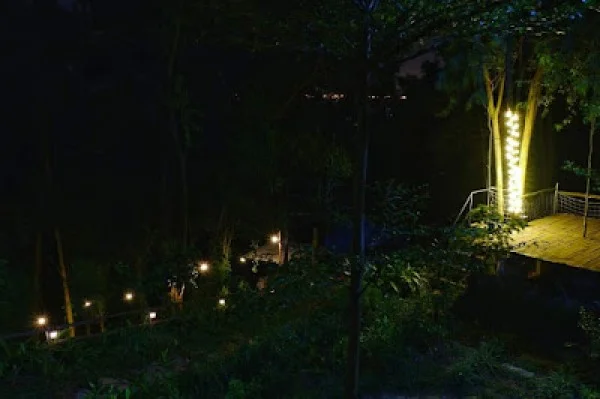 Ảnh Viva S002 - View rừng thông + Sân Pickleball - 28