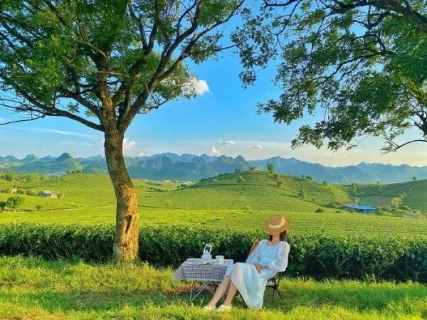 Ảnh The Nordic Village Mộc Châu - 29