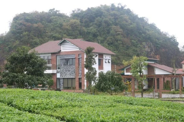 Ảnh Emopea Mộc Châu - 9