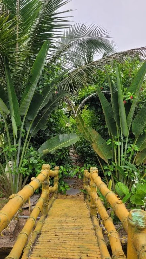 Ảnh Fairy Mountain Retreat