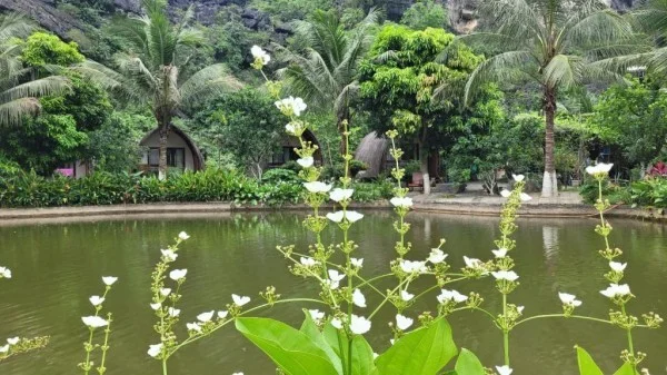 Ảnh Fairy Mountain Retreat - 15