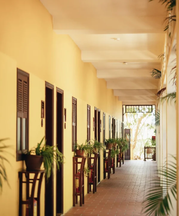 Ảnh chi tiết phòng Phòng hướng vườn (Garden Room) 11