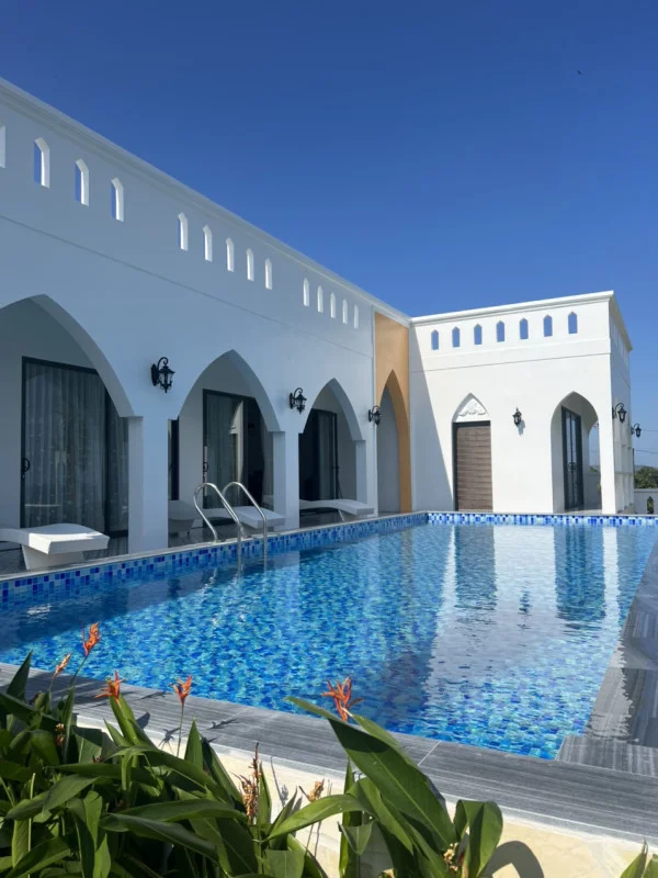 Ảnh Viva PT03 - 30