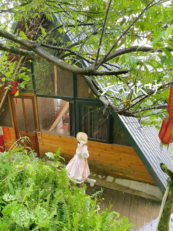 Ảnh Viva Homestay T9 - 11