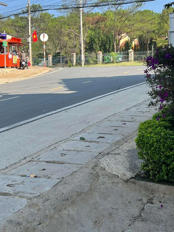 Ảnh Cẩm Tú Cầu 2 - 8