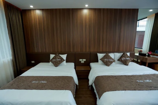 Ảnh Viva TĐ50 - 18