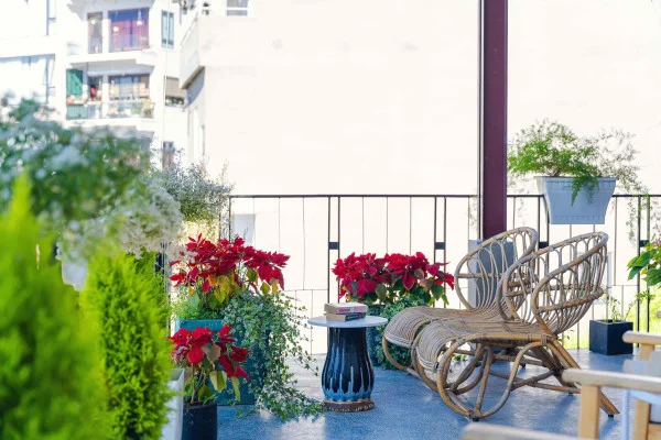 Ảnh Viva ĐL17 - 7