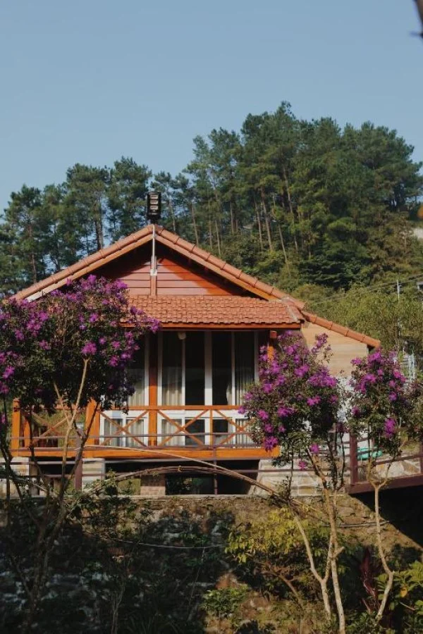 Ảnh Viva Homestay T2