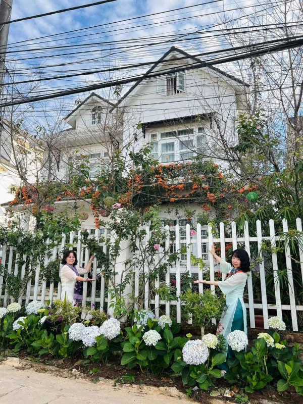 Ảnh Cẩm Tú Cầu 2 - 44