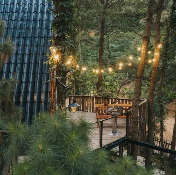 Ảnh Viva Homestay H2 - 20