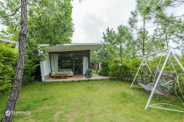 Ảnh P306 Flamingo Đại Lải