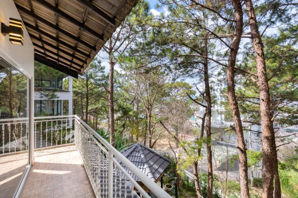 Ảnh Viva ĐL44 - 22