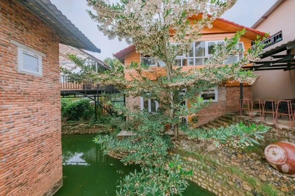 Ảnh Viva Homestay ĐL 12 - 20