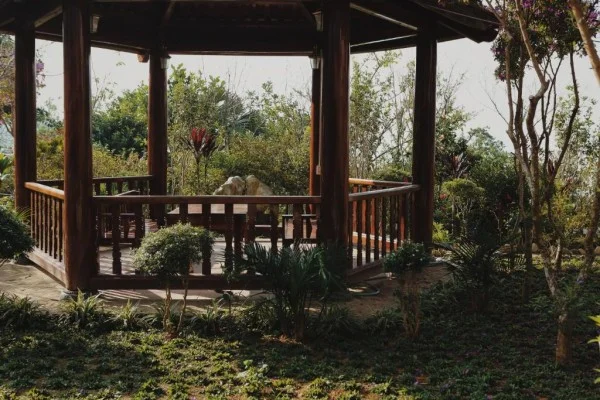 Ảnh Viva Homestay T2 - 8