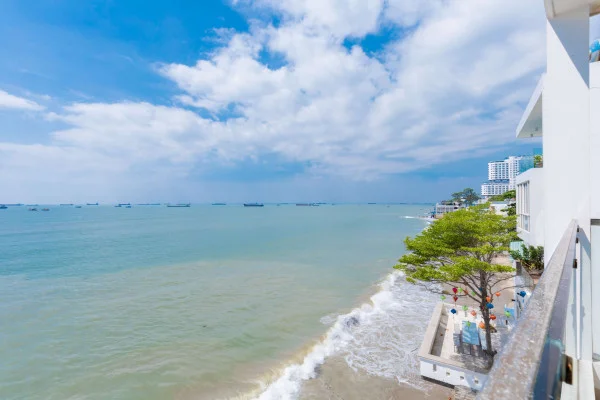 Ảnh Viva VT38 - 55