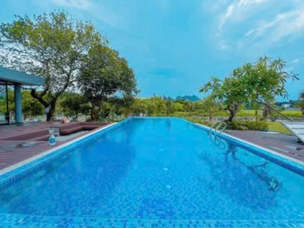 Ảnh Viva HB10 - 10