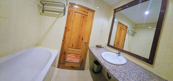 Ảnh Viva PT10 - 20