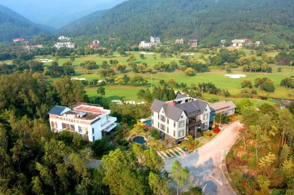 Ảnh Viva TĐ60 - 10