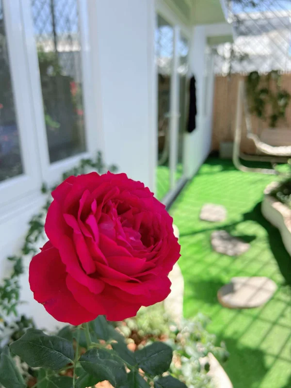 Ảnh Bảo Hân 2 - 7