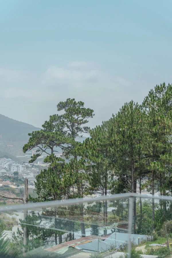 Ảnh Viva ĐL25 - 35