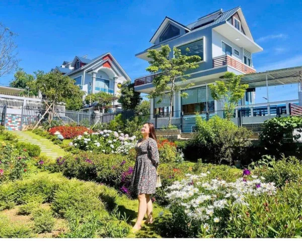 Ảnh Viva ĐL39 - 25