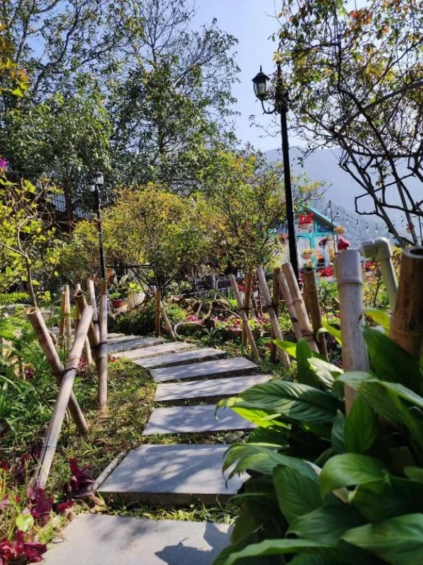 Ảnh Viva Homestay T5 - 9