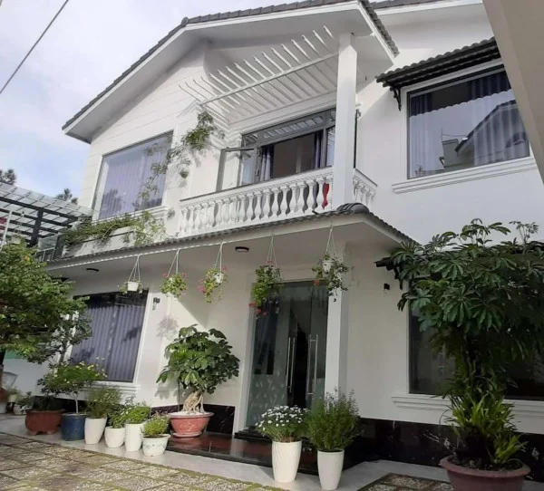 Ảnh Cẩm Tú Cầu 1