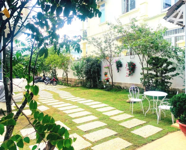 Ảnh Cẩm Tú Cầu 1 - 8